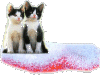 cat-01-small.gif